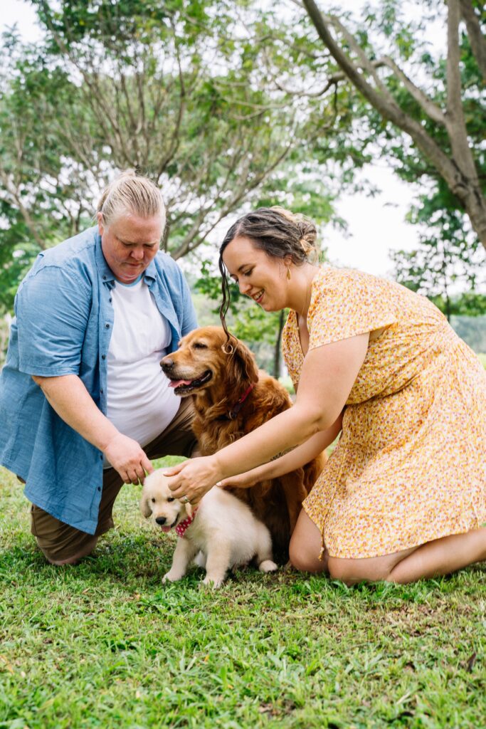 Serviços de Cuidados com Animais de Estimação